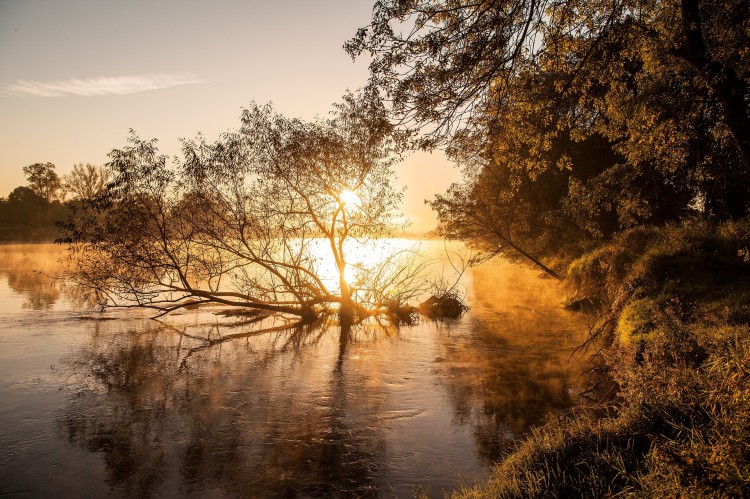 An der Loire