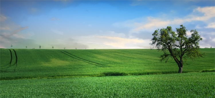 Am Horizont Am Horizont