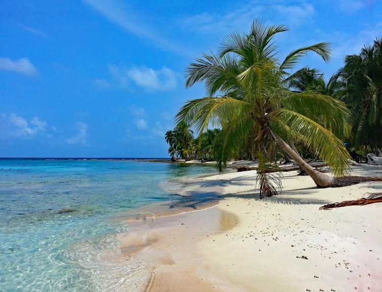 Die einsame Insel zum Lesen