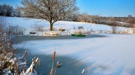 Der Schuppen am Teich