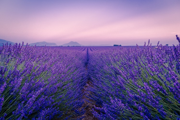 A wonderful night in Provence