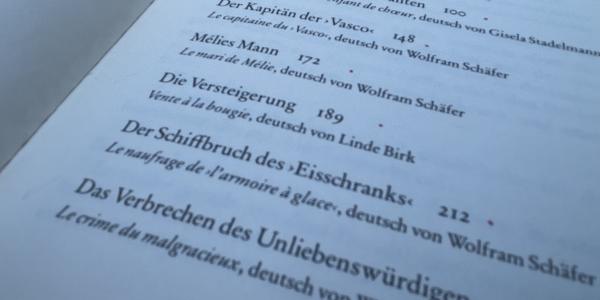 Küken und Meister