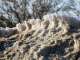Der Schnee war schmutzig