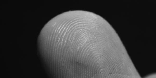 Barraquiers Finger