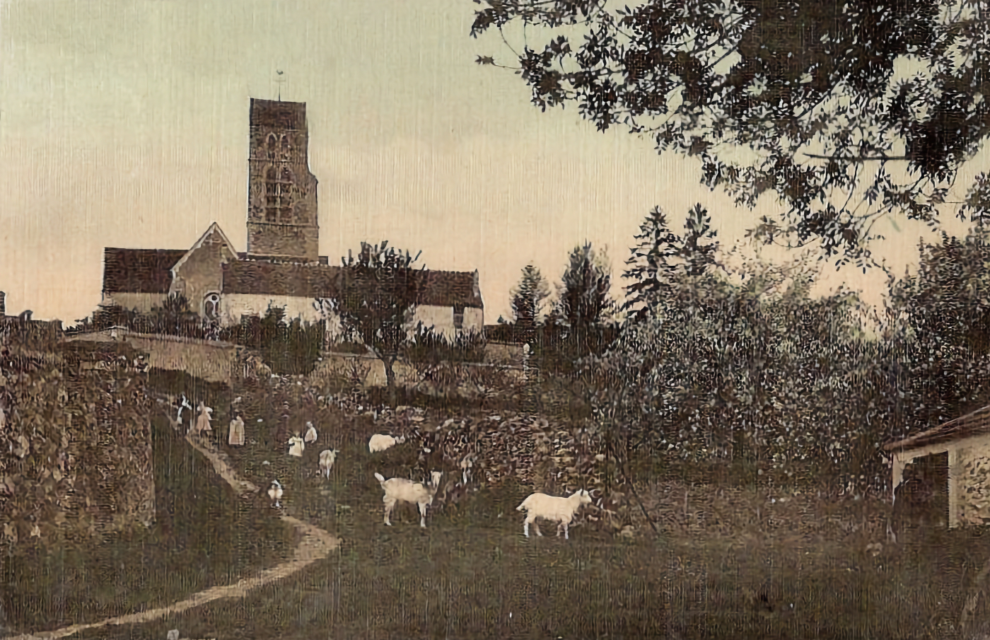 Montagne de la Citanguette – ein wenig näher dran