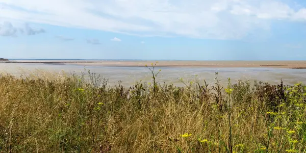 Marsilly, Charente Maritime, France