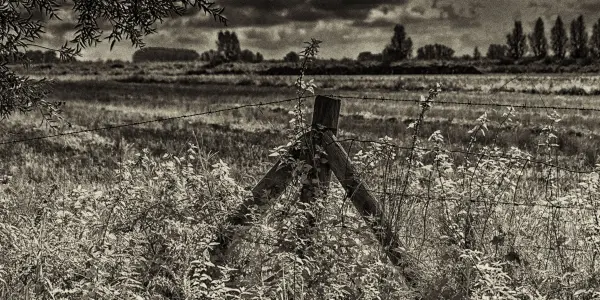 Art with a fence Art with a fence