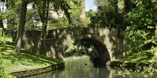 Le p'tit pond dans la nature luxuriante