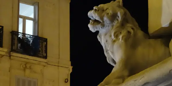 Un lion à la fenêtre, Marseille