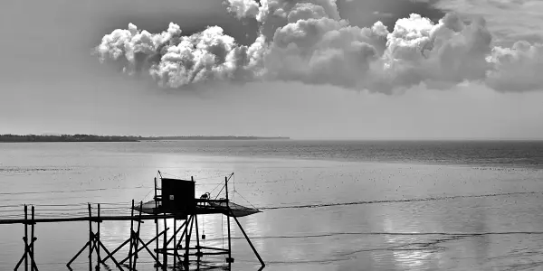 Esnandes - Charente Maritime Esnandes - Charente Maritime