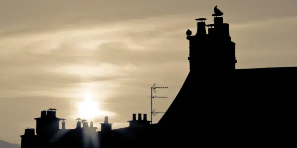 Morning Roof & Silhouettes