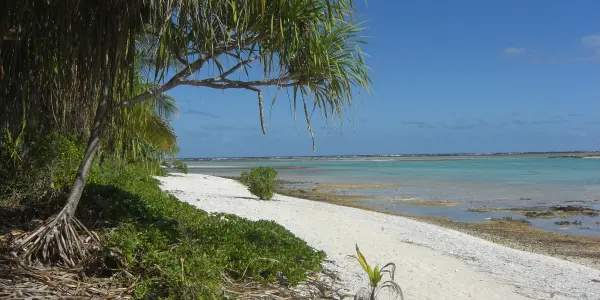 Rangiroa (île aux récifs)