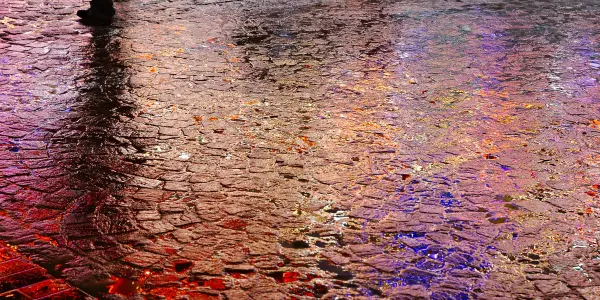 Reflets sous la pluie