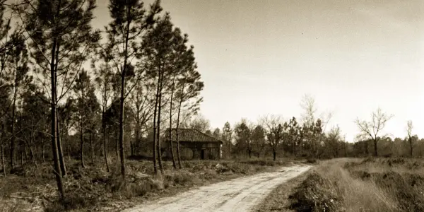 Fôret Landaise 2013