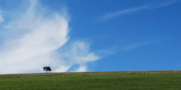 France / Franche-Comté / Doubs / Morteau
