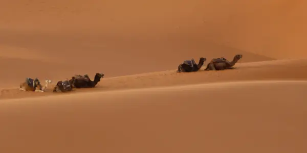 MarocZagoraToErfoud036