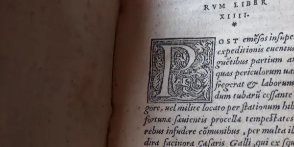 Page Ammiani