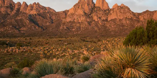 Organ Mountains Organ Mountains
