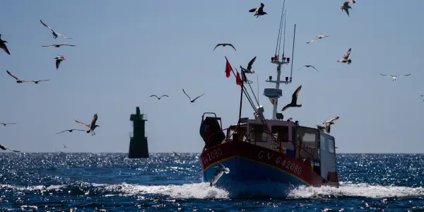 Retour de pêche Retour de pêche