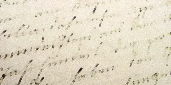 Kurrentschrift