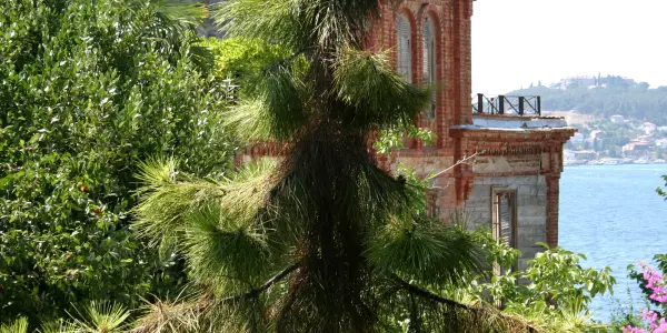 Trotsky house istanbul Trotsky house istanbul